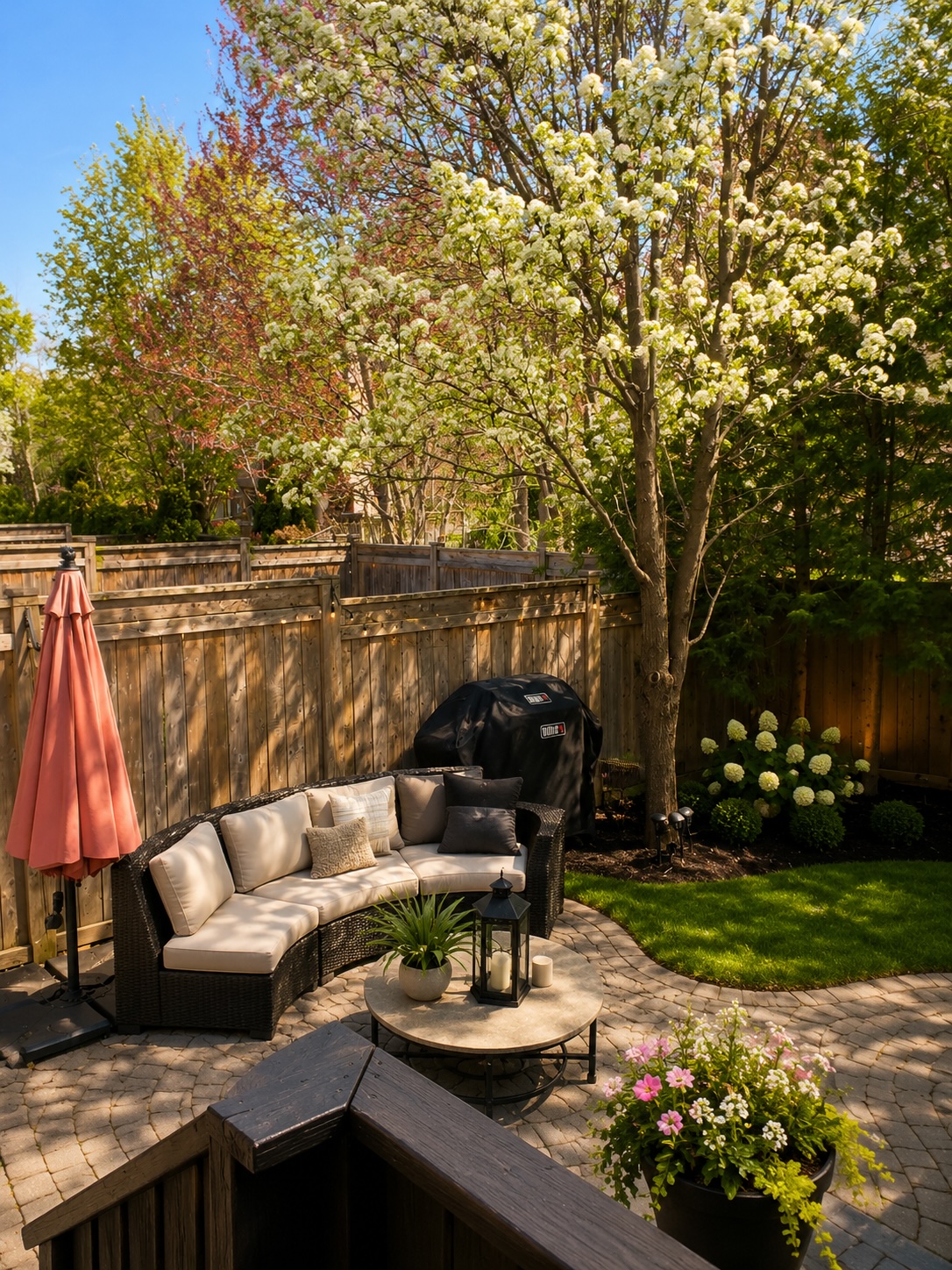 Rear Garden — Landscape Vision